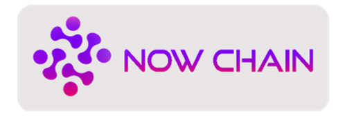 나우체인이거임